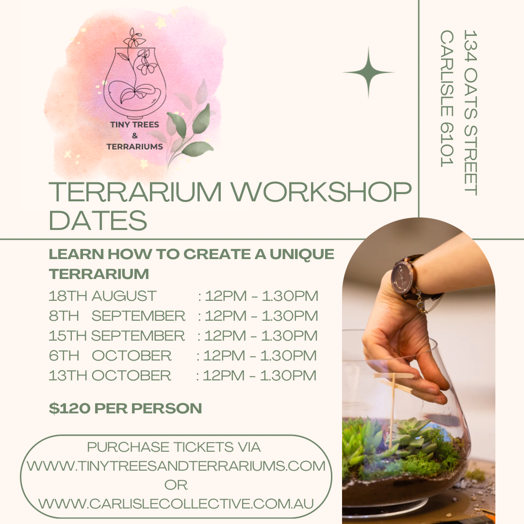 Terrarium Workshop